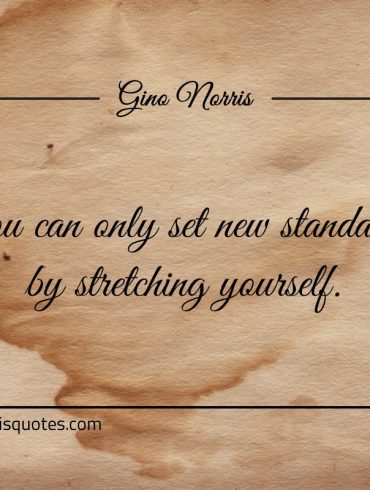 You can only set new standards by stretching yourself ginonorrisquotes