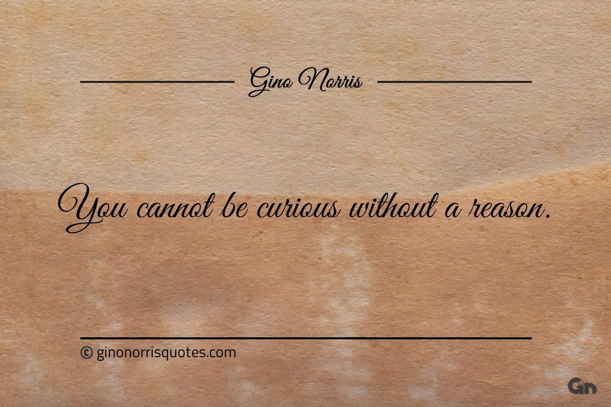You cannot be curious without a reason ginonorrisquotes