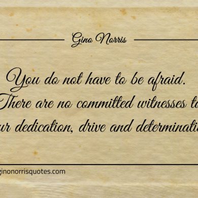 You do not have to be afraid ginonorrisquotes