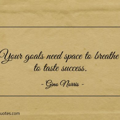 Your goals need space to breathe to taste success ginonorrisquotes