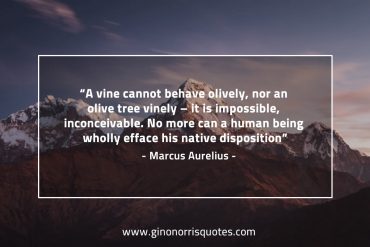 A vine cannot behave olively MarcusAureliusQuotes