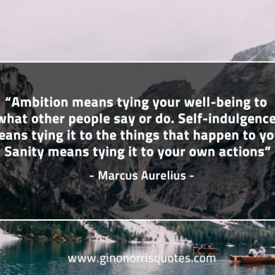 Ambition means tying your well being MarcusAureliusQuotes