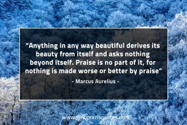 Anything in any way beautiful MarcusAureliusQuotes