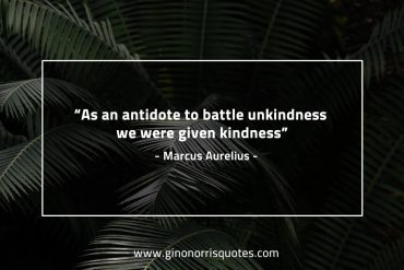 As an antidote to battle unkindness MarcusAureliusQuotes