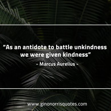 As an antidote to battle unkindness MarcusAureliusQuotes