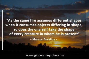 As the same fire assumes different shapes MarcusAureliusQuotes