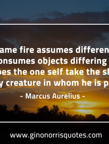 As the same fire assumes different shapes MarcusAureliusQuotes