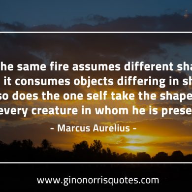 As the same fire assumes different shapes MarcusAureliusQuotes