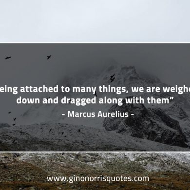 Being attached to many things MarcusAureliusQuotes