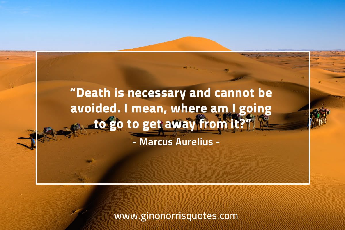 Death is necessary and cannot be avoided MarcusAureliusQuotes