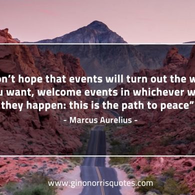 Don’t hope that events will turn out MarcusAureliusQuotes