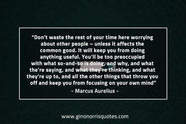 Don’t waste the rest of your time MarcusAureliusQuotes