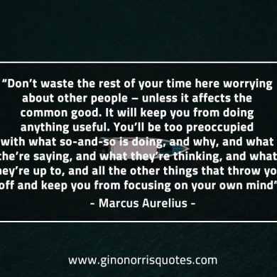 Don’t waste the rest of your time MarcusAureliusQuotes