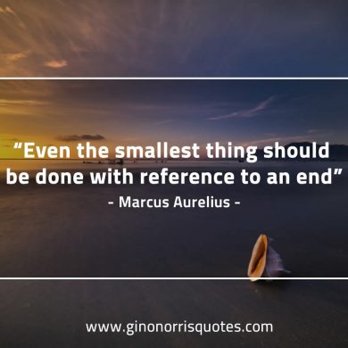 Even the smallest thing MarcusAureliusQuotes