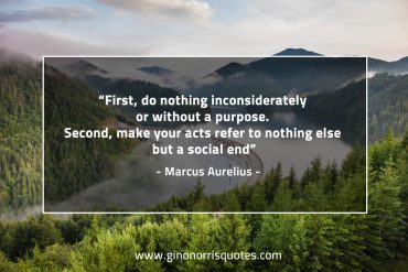 First do nothing inconsiderately MarcusAureliusQuotes