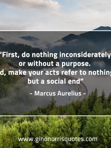 First do nothing inconsiderately MarcusAureliusQuotes