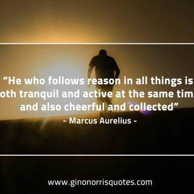 He who follows reason MarcusAureliusQuotes