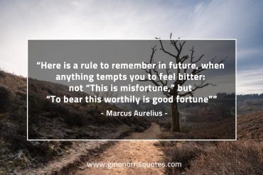 Here is a rule to remember in future MarcusAureliusQuotes