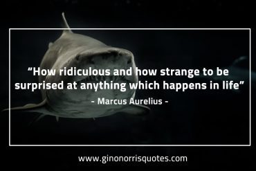 How ridiculous and how strange MarcusAureliusQuotes