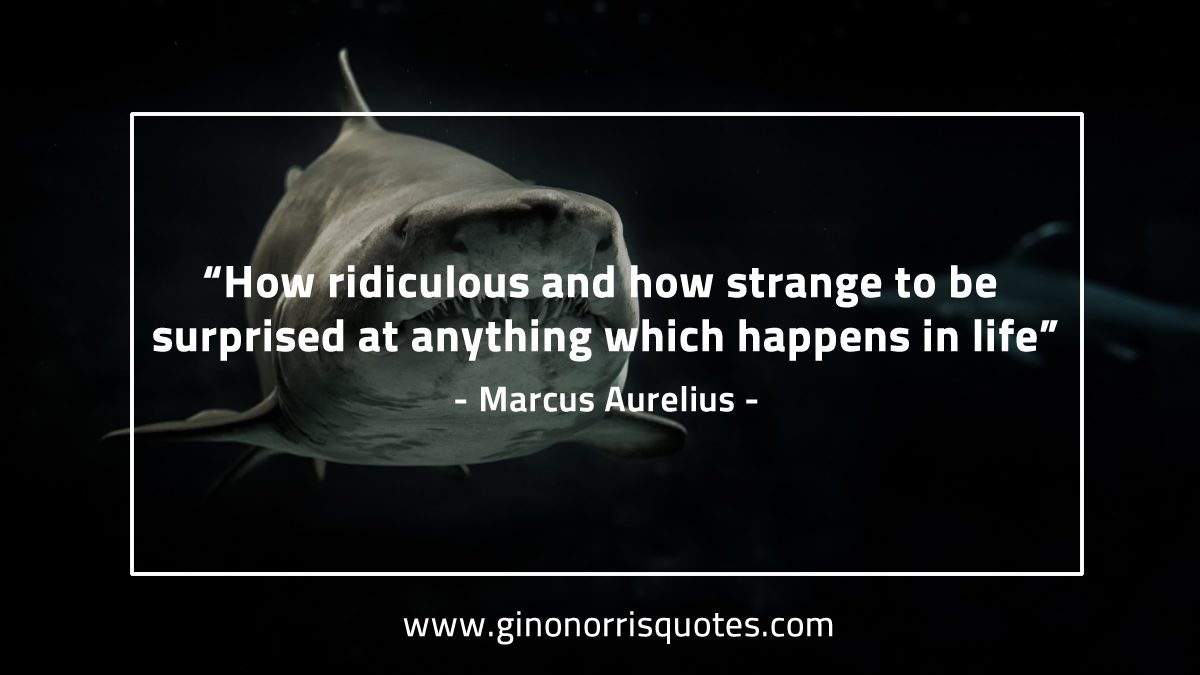 How ridiculous and how strange MarcusAureliusQuotes