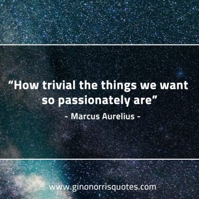 How trivial the things we want so passionately are MarcusAureliusQuotes