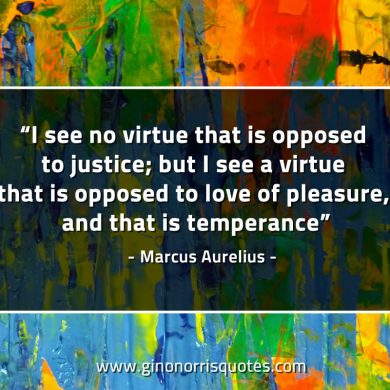 I see no virtue that is opposed to justice MarcusAureliusQuotes