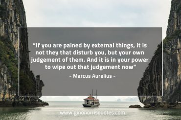 If you are pained by external things MarcusAureliusQuotes