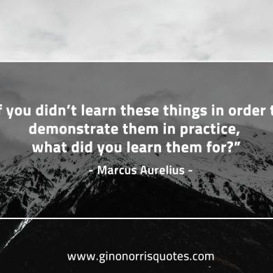 If you didn’t learn these things MarcusAureliusQuotes