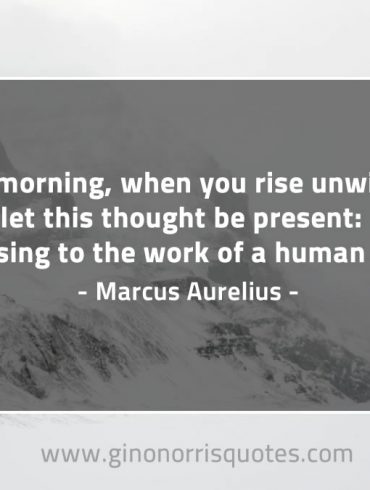 In the morning when you rise unwillingly MarcusAureliusQuotes