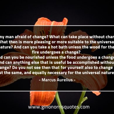 Is any man afraid of change MarcusAureliusQuotes