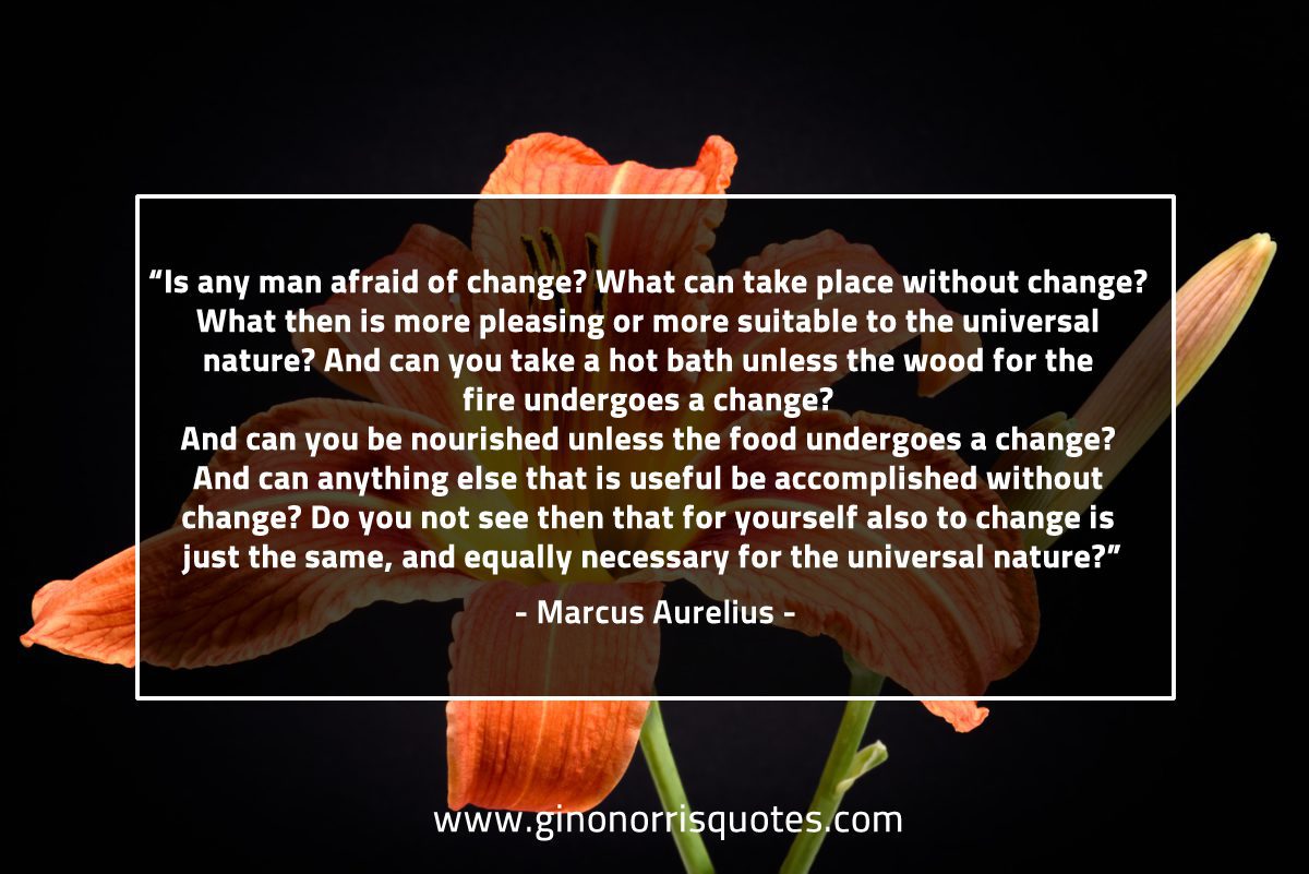 Is any man afraid of change MarcusAureliusQuotes