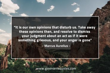 It is our own opinions that disturb us MarcusAureliusQuotes