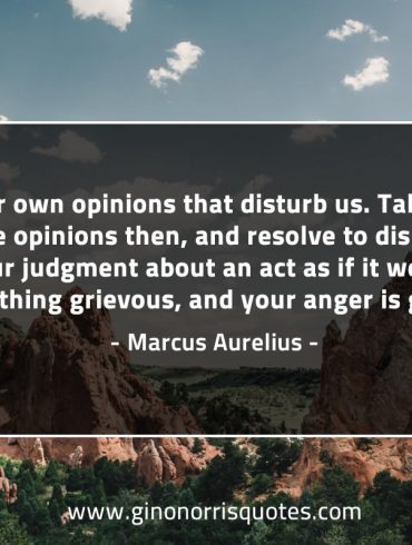 It is our own opinions that disturb us MarcusAureliusQuotes