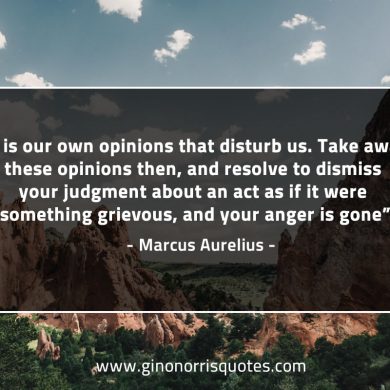 It is our own opinions that disturb us MarcusAureliusQuotes