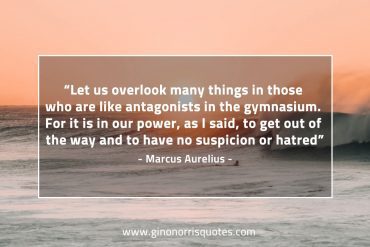 Let us overlook many things MarcusAureliusQuotes