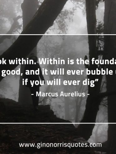 Look within MarcusAureliusQuotes