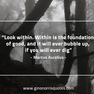 Look within MarcusAureliusQuotes