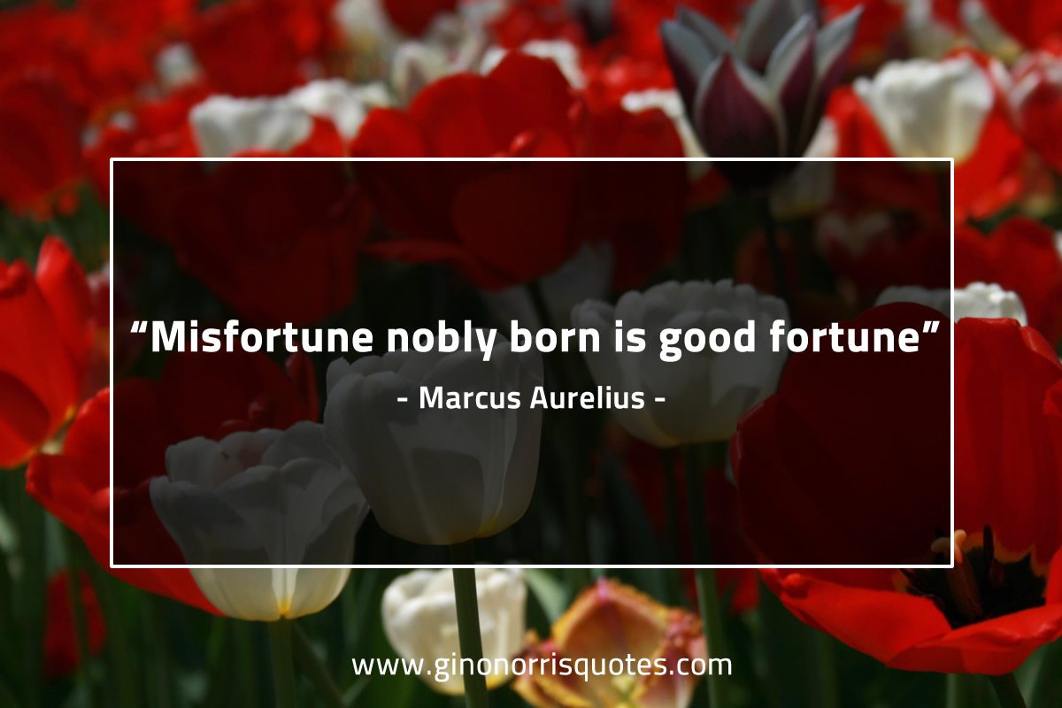 Misfortune nobly born is good fortune MarcusAureliusQuotes