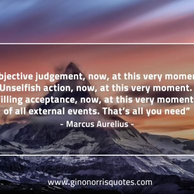 Objective judgement now MarcusAureliusQuotes