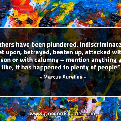 Others have been plundered MarcusAureliusQuotes