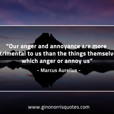 Our anger and annoyance are more detrimental to us MarcusAureliusQuotes