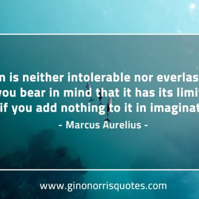 Pain is neither intolerable nor everlasting MarcusAureliusQuotes