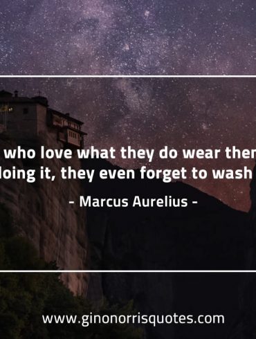 People who love what they do MarcusAureliusQuotes