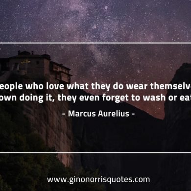 People who love what they do MarcusAureliusQuotes