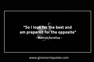 So I look for the best MarcusAureliusQuotes