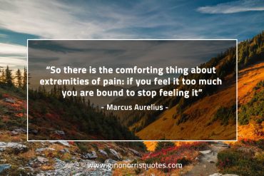 So there is the comforting thing MarcusAureliusQuotes