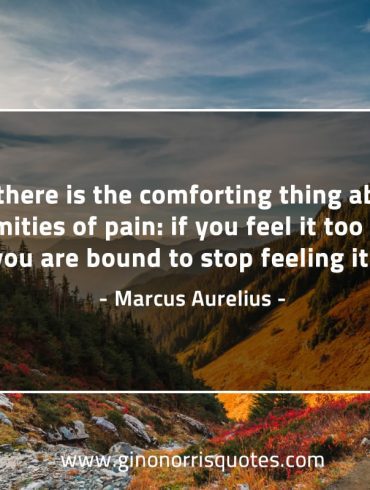 So there is the comforting thing MarcusAureliusQuotes