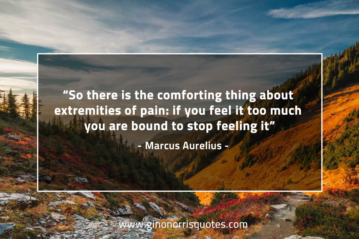 So there is the comforting thing MarcusAureliusQuotes