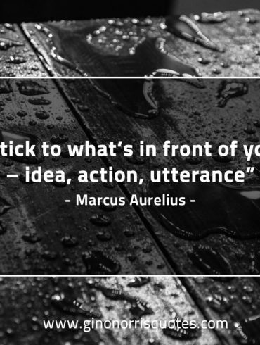 Stick to what’s in front of you MarcusAureliusQuotes