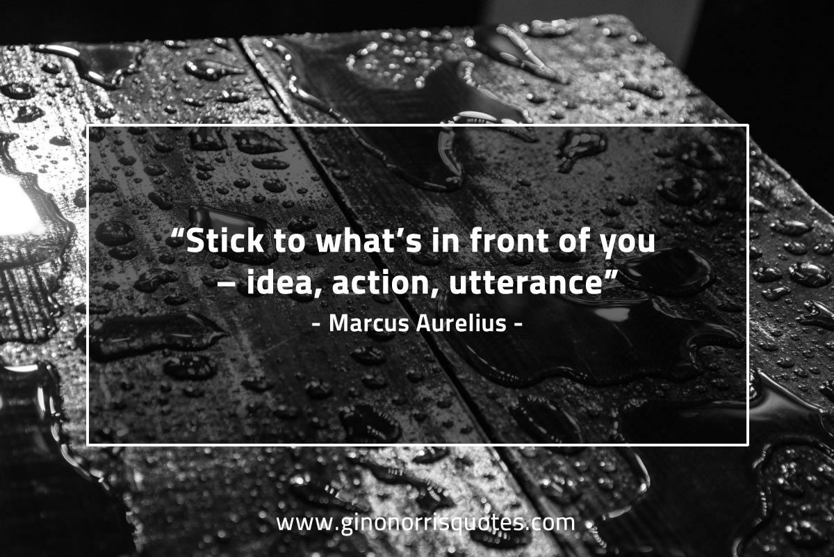 Stick to what’s in front of you MarcusAureliusQuotes